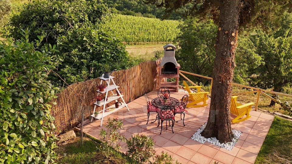 A tiled barbecue terrace under a tree, looking out over a vineyard