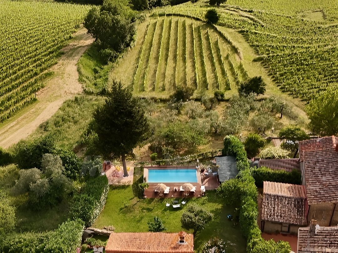 A garden pool with loungers, and vineyards on the hill above