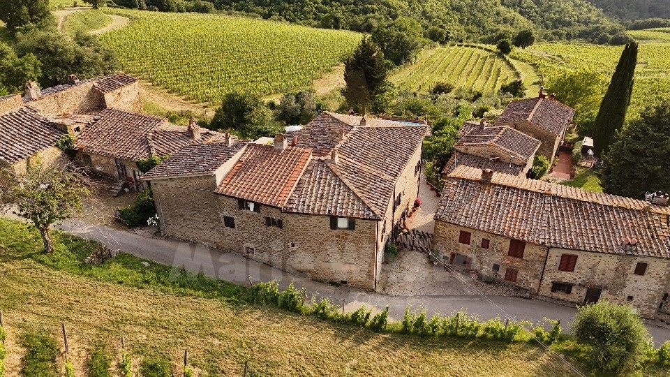 Stone hamlet roofs set in vineyards, with a small pool among them