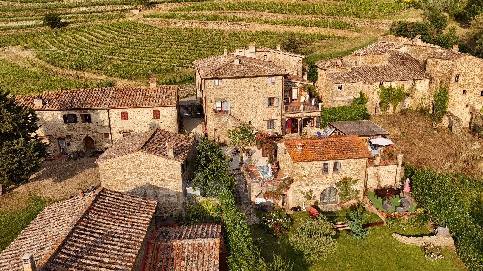 Stone houses gathered around a planted court, vineyards behind