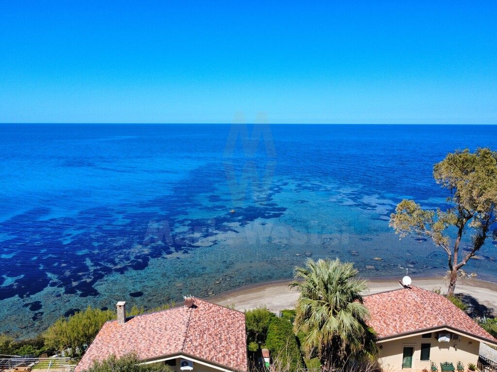 Two tiled roofs, a palm, and clear shallow water over a small beach