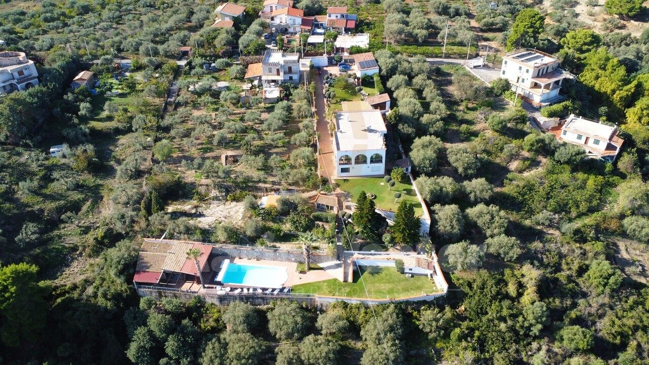 A wider aerial of the same white villa, lawn, and olive grove