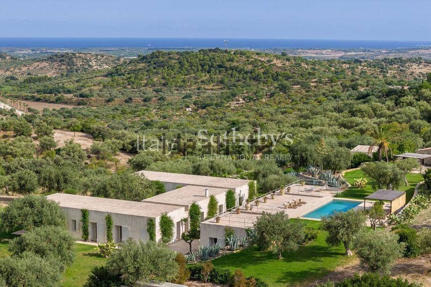 A wide view of low stone roofs in an olive grove, a hill beyond, and the sea as a band at the top