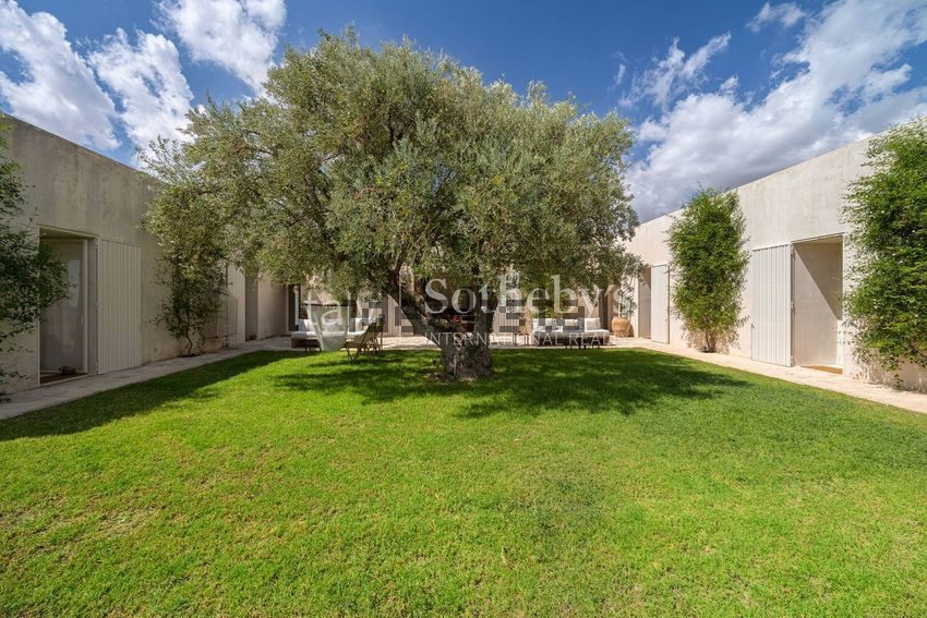 An old olive tree in a lawn enclosed by pale one-storey wings with shuttered doors