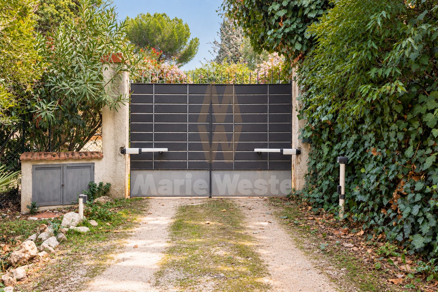 An automatic metal gate closing a planted drive