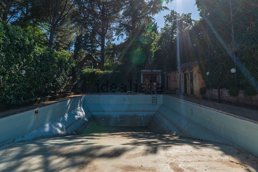 An empty concrete swimming pool with a ladder and a little water in the deep end, under trees